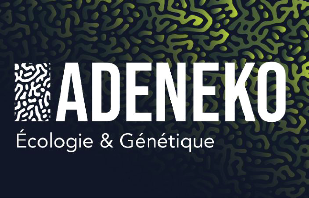 Logo ADENEKO